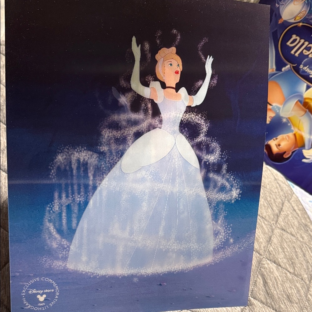 Disney Store Cinderella Lithograph Moving Art Cover Exclusive 2005